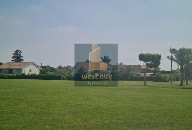 64646447 - Property Image 2