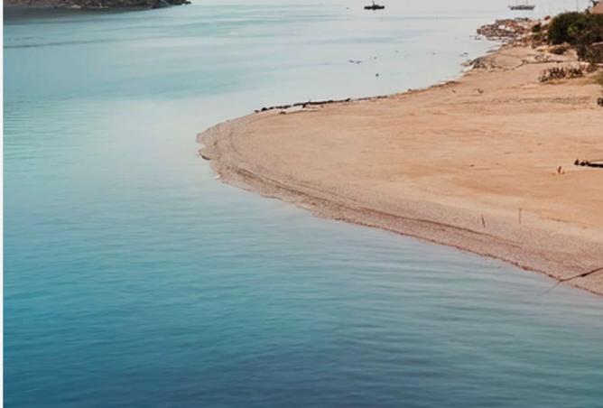 99108885 - صورة العقار 2