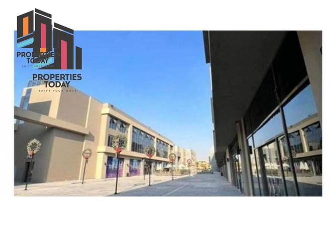 55756741 - Property Image 3