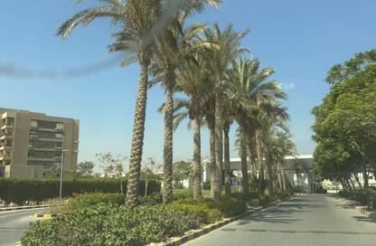 شقة - 3 - 2 للايجار في سكوير - كمبوندات التجمع الخامس - التجمع الخامس - مدينة القاهرة الجديدة - القاهرة شقة - 3 - 2 للايجار في سكوير - كمبوندات التجمع الخامس - التجمع الخامس - مدينة القاهرة الجديدة - القاهرة