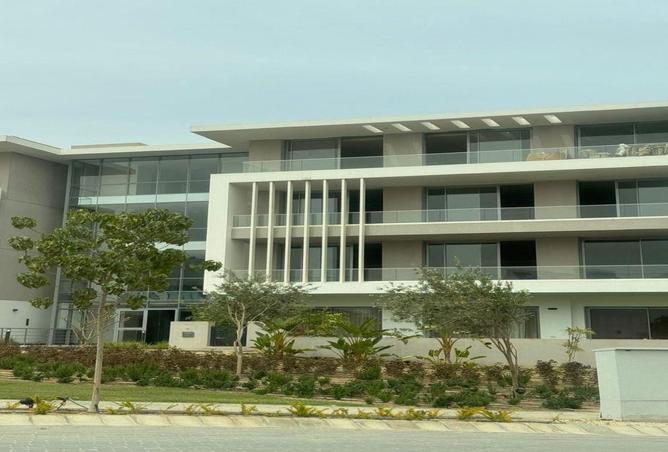 58253900 - Property Image 3