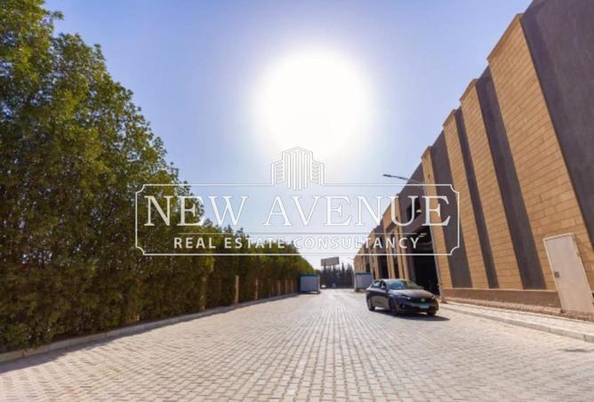 52460754 - Property Image 3