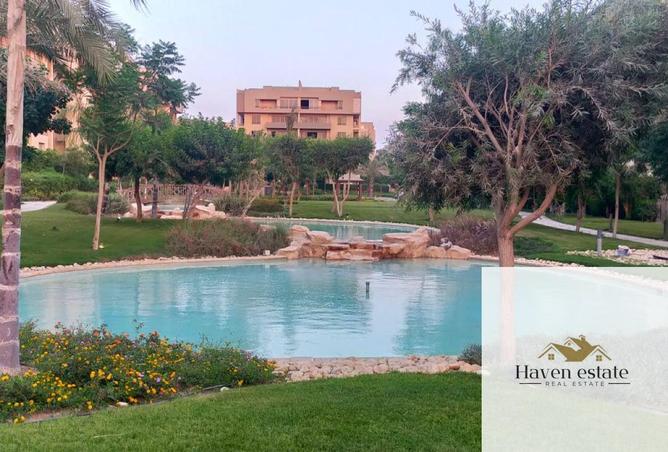 66704357 - صورة العقار 3