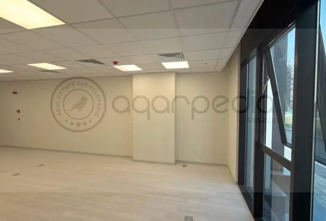 116744536 - Property Image 3