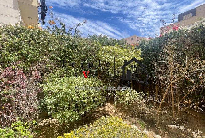 65662362 - صورة العقار 2