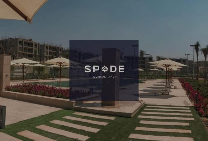 8583354 - Property Image 3