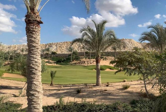 61201010 - صورة العقار 3