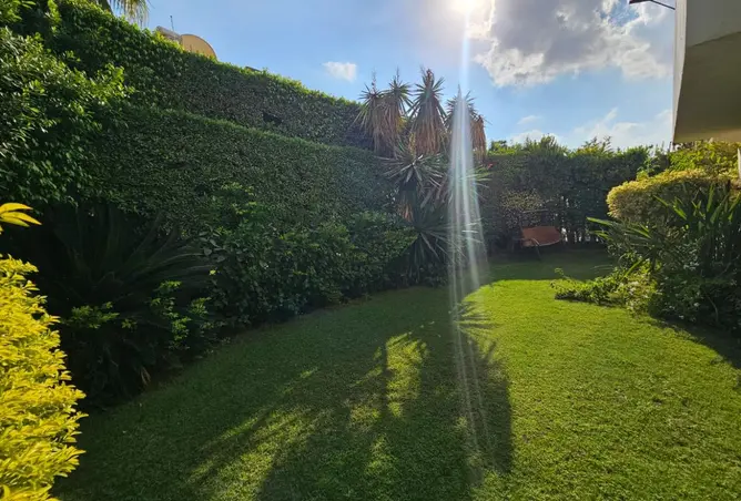 118550160 - صورة العقار 2