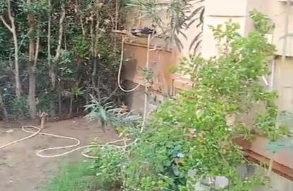 شقة - 2 - 1 للايجار في بداية - حدائق اكتوبر - مدينة 6 أكتوبر - الجيزة شقة - 2 - 1 للايجار في بداية - حدائق اكتوبر - مدينة 6 أكتوبر - الجيزة