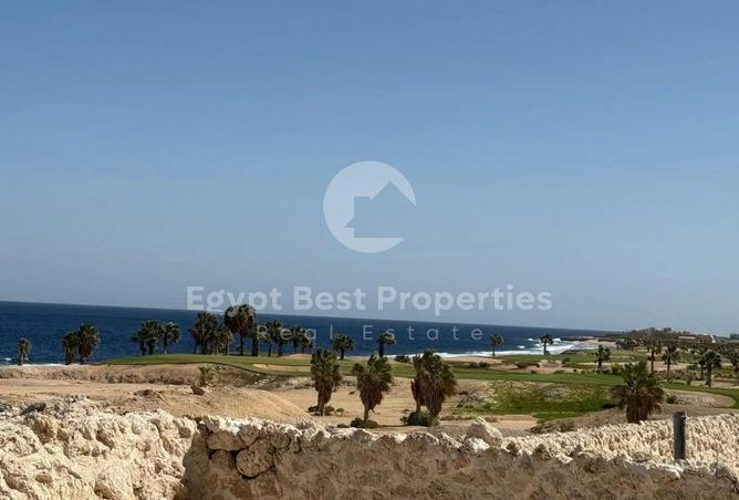 98010607 - صورة العقار 2