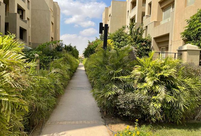 70368859 - Property Image 3