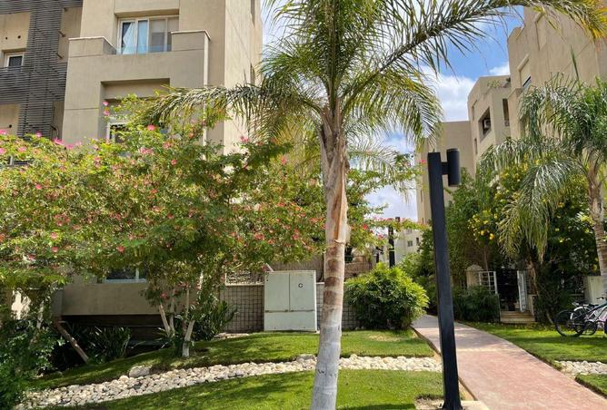 70368859 - Property Image 2