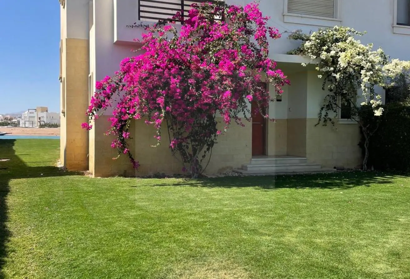 116236506 - Property Main Image