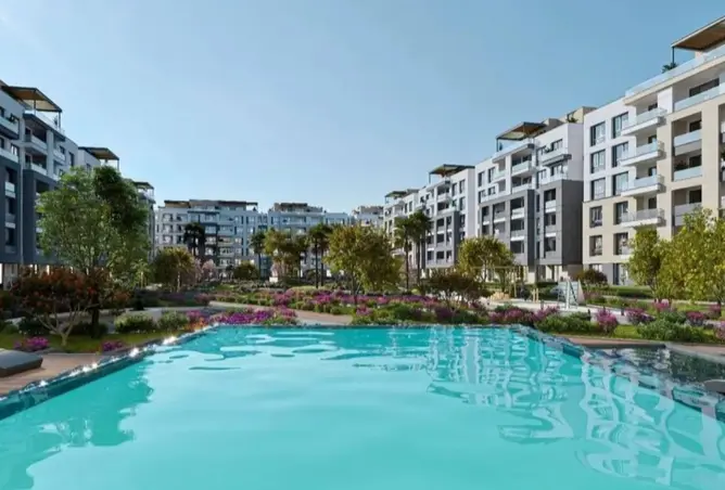 115972641 - Property Image 3