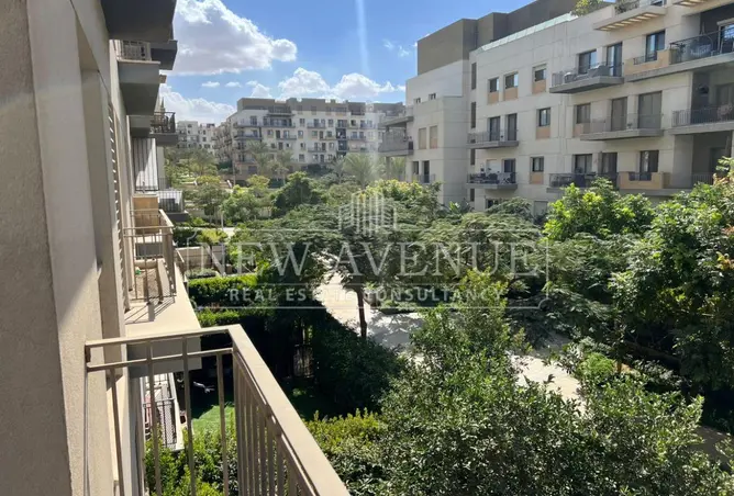 120879456 - Property Image 3