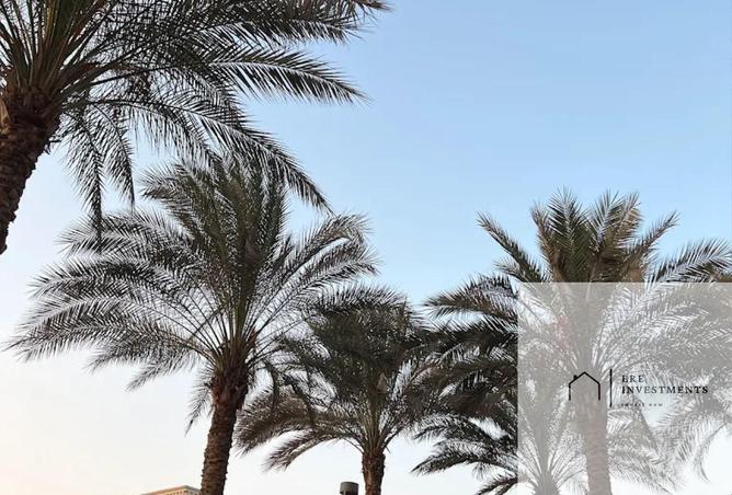83135160 - صورة العقار 3