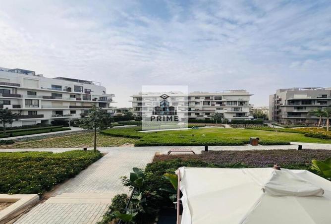 89555758 - Property Image 3