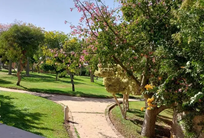 86410065 - صورة العقار 2