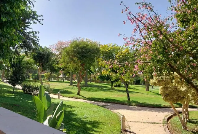 86410065 - صورة العقار 3