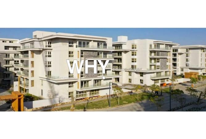 67217009 - Property Image 3