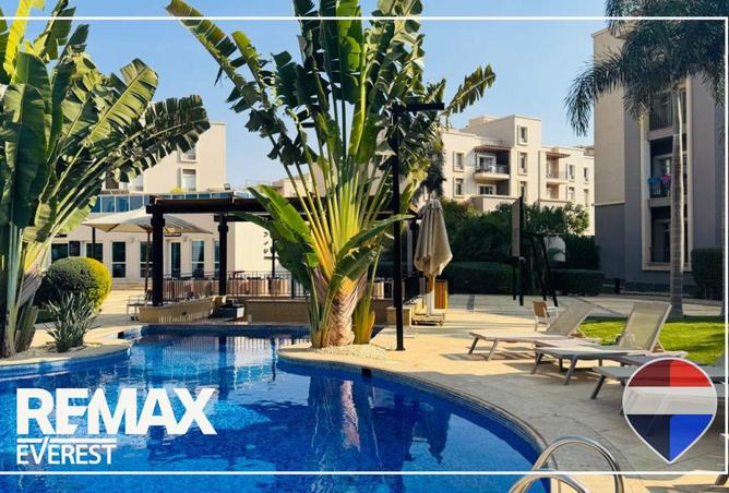 61686724 - Property Image 3