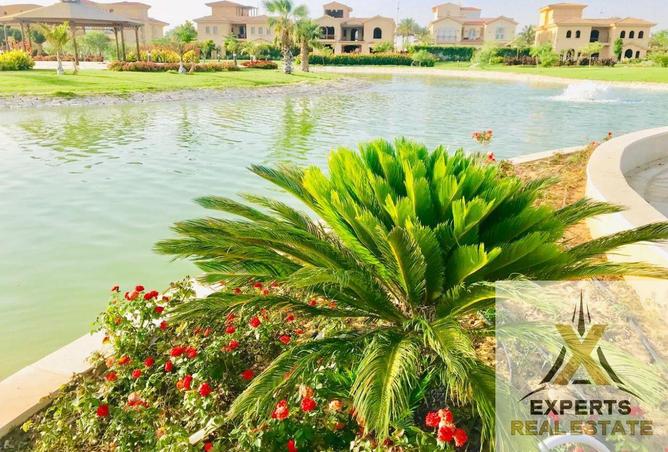 66171723 - Property Image 2