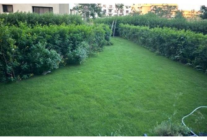 8531123 - صورة العقار 2