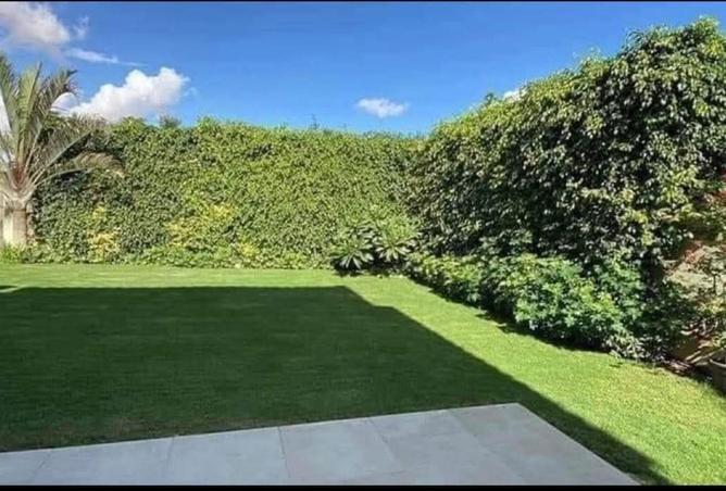 62642658 - Property Image 3