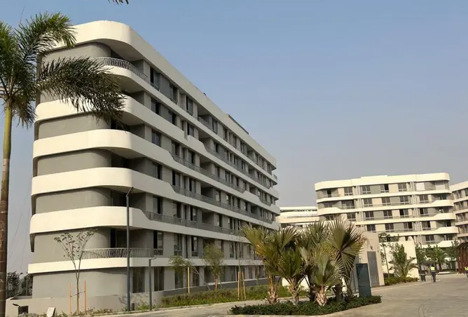 52462375 - صورة العقار 2