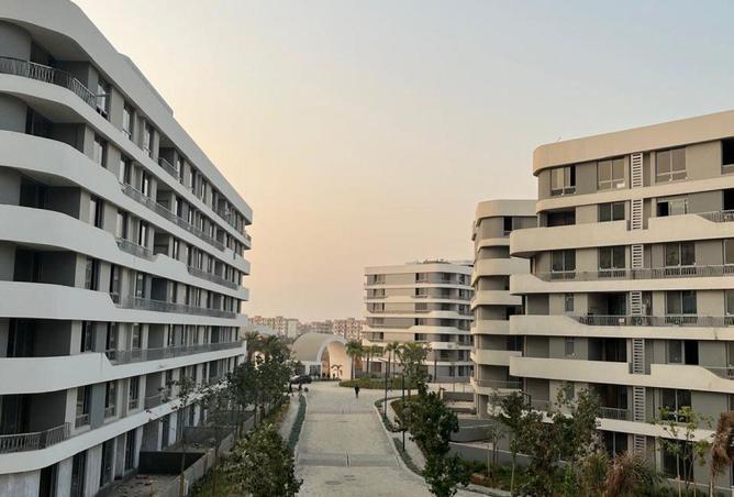 52462375 - Property Main Image