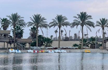 Apartment - 4 Bedrooms - 4 Bathrooms for sale in Golf Al Solimania - Cairo Alexandria Desert Road - 6 October City - Giza