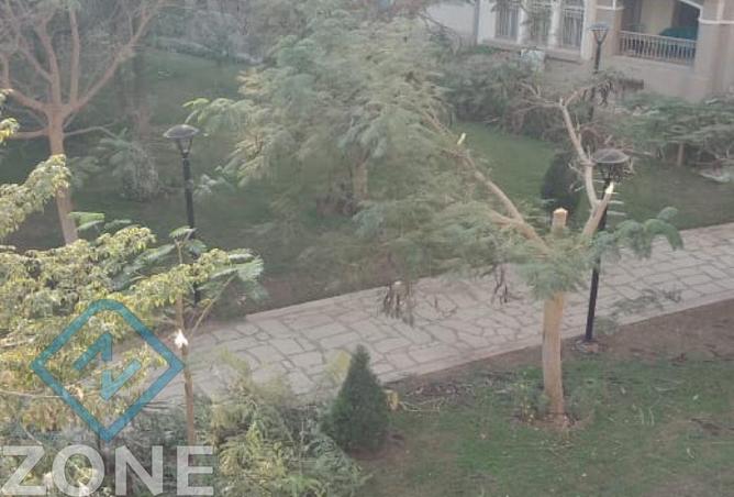 8567042 - Property Image 2