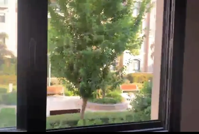 112699866 - صورة العقار 2