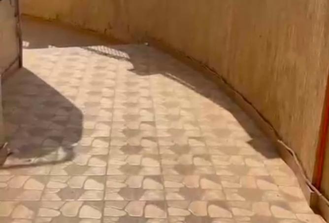 97135825 - صورة العقار 2