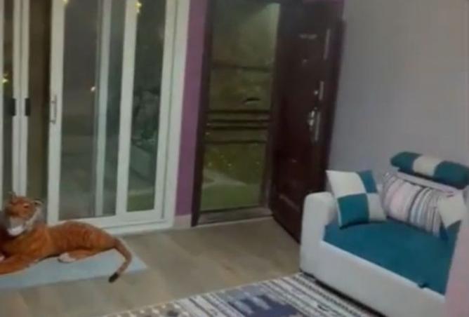 8528319 - صورة العقار 3