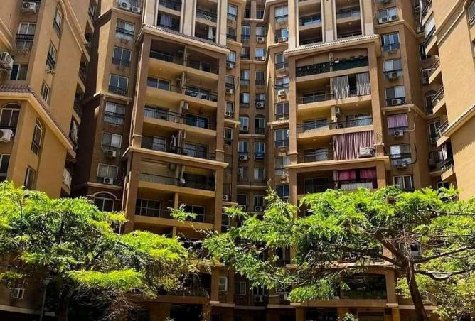 92970206 - الصورة الرئيسية للعقار