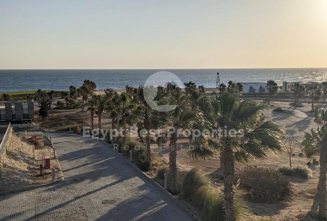 85330813 - Property Image 3