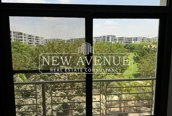 64386900 - Property Image 3