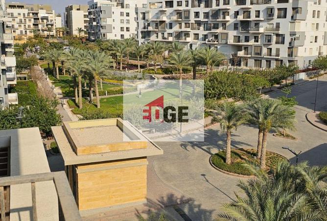97442990 - صورة العقار 3
