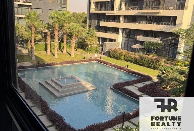 66433963 - Property Image 3