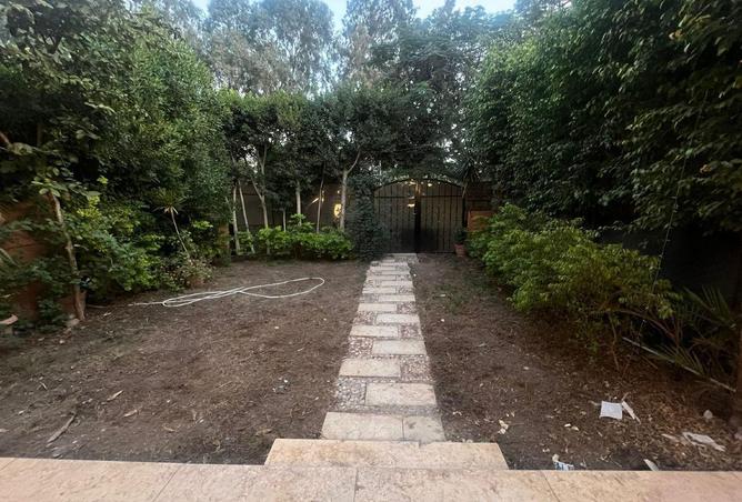 64645247 - صورة العقار 2