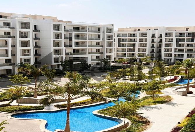 8517288 - Property Image 3