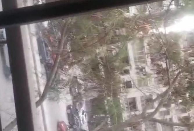 55998549 - Property Image 3