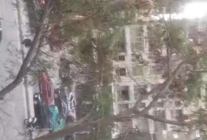 55998549 - Property Image 2