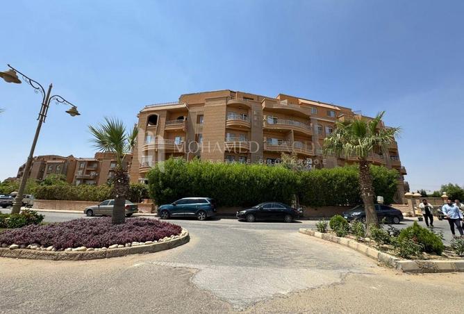 8270797 - Property Image 3