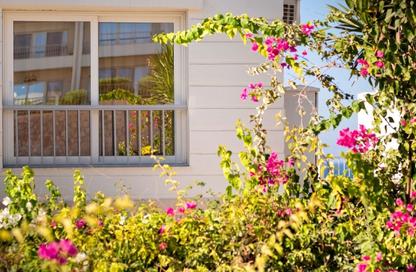 Chalet - 3 Bedrooms - 3 Bathrooms for sale in Playa SeaShell - Seashell - Ras Al Hekma - North Coast