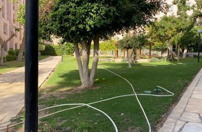 Apartment - 3 Bedrooms - 3 Bathrooms for sale in El Rehab Extension - Al Rehab - New Cairo City - Cairo Apartment - 3 Bedrooms - 3 Bathrooms for sale in El Rehab Extension - Al Rehab - New Cairo City - Cairo