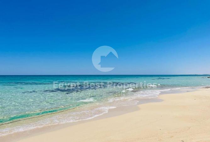 85603056 - Property Image 3