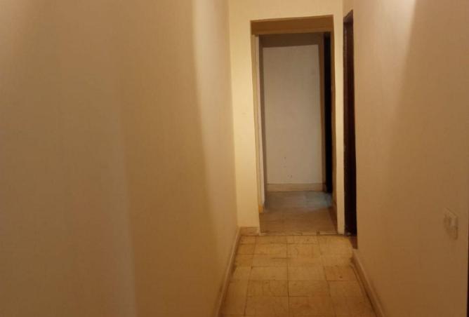 58746275 - صورة العقار 2