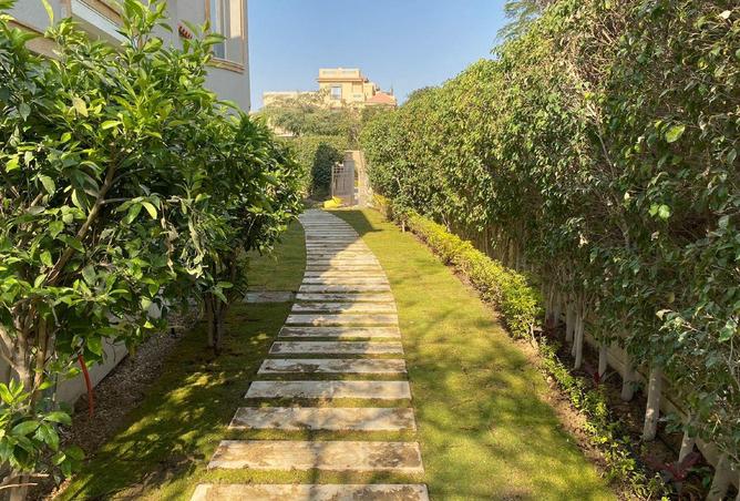 62408420 - صورة العقار 3